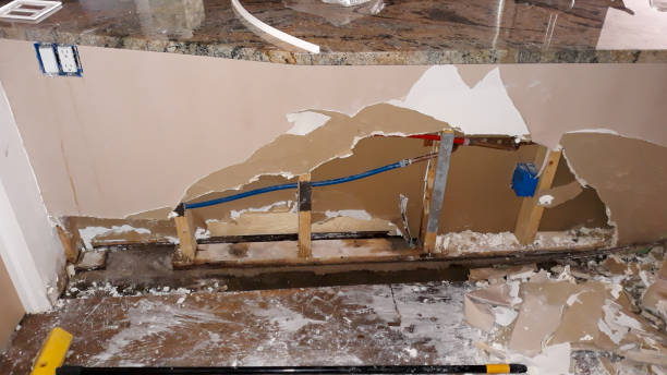 Best Sewage cleanup and water damage restoration  in Clio, MI